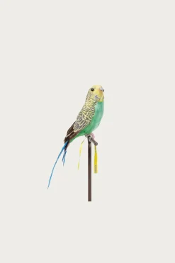 Puebco Budgie - Green< Homegoods