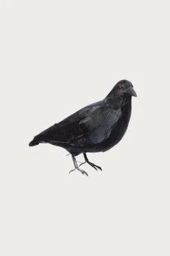 Puebco Crow 2 (Large)< Homegoods