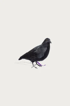 Puebco Crow 1 (Small)< Homegoods