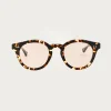 Native Sons Eyewear Richter - Honey Tortoise/16k Gold/Natural< Eyewear|Accessories