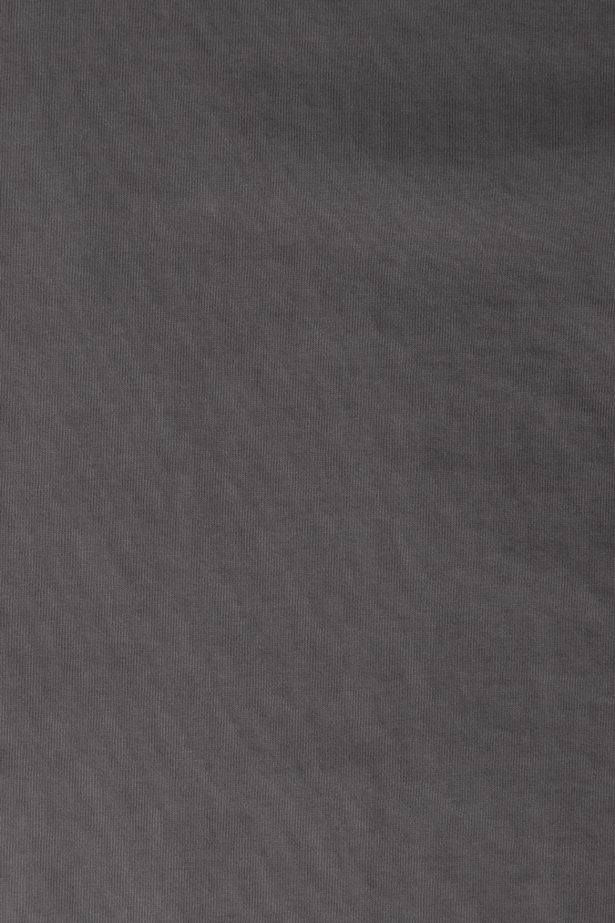 Lady White Co. Rugby T-Shirt - Kelp< Tees And Sweats
