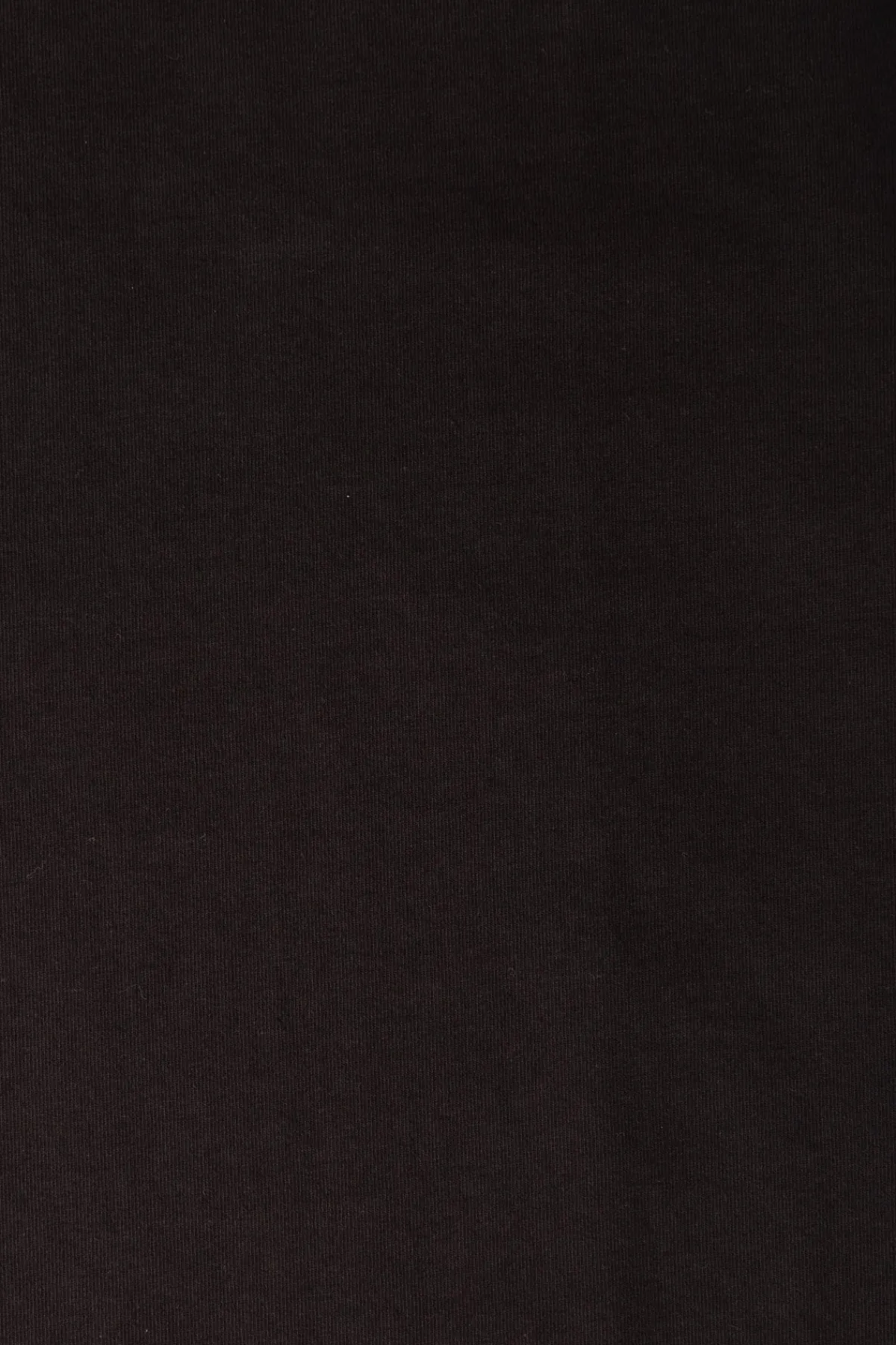Lady White Co. Rugby T-Shirt - Shadow< Tees And Sweats