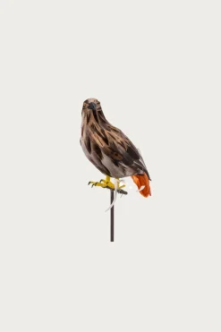 Puebco Small Hawk< Homegoods