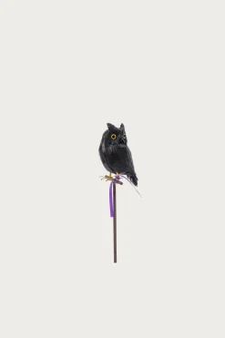 Puebco Small Owl - Black< Homegoods